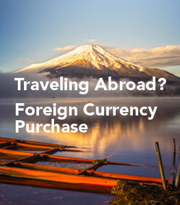 Traveling Abroad?  